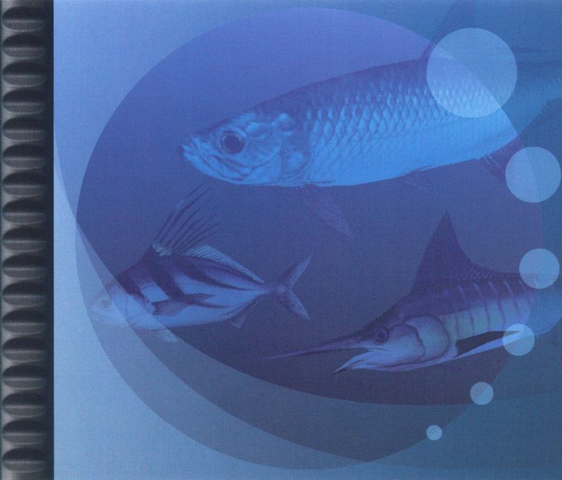 Saltwater Sportfishing PSX cover