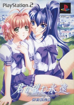 Kimi Ga Nozomu Eien Rumbling Hearts Limited Edition Ntsc J